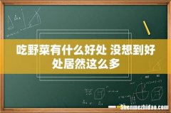 吃野菜有什么好处 没想到好处居然这么多