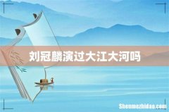 刘冠麟演过大江大河吗