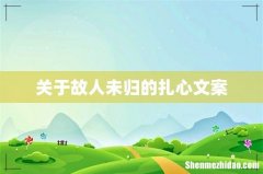 关于故人未归的扎心文案