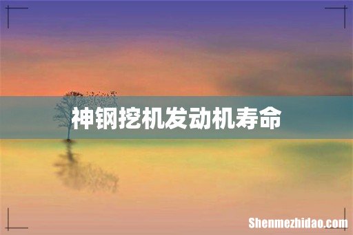 神钢挖机发动机寿命