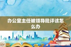 办公室主任被领导批评该怎么办