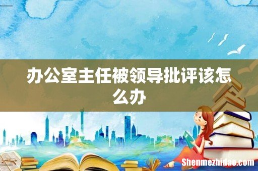 办公室主任被领导批评该怎么办