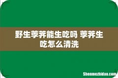 野生荸荠能生吃吗 荸荠生吃怎么清洗