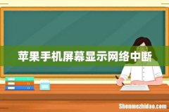 苹果手机屏幕显示网络中断
