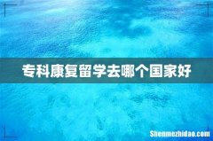 专科康复留学去哪个国家好