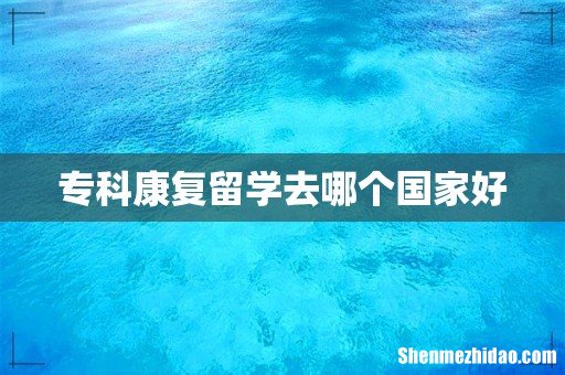 专科康复留学去哪个国家好