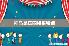 神马是正四棱锥特点