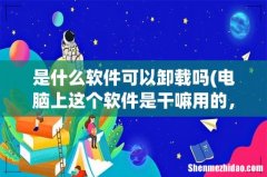 电脑上这个软件是干嘛用的，可以卸载吗？ 是什么软件可以卸载吗