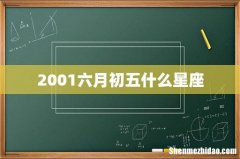 2001六月初五什么星座