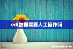 edi数据需要人工操作吗
