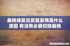 扁桃体发炎反复发烧是什么原因 有没有必要切除扁桃体