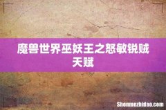魔兽世界巫妖王之怒敏锐贼天赋