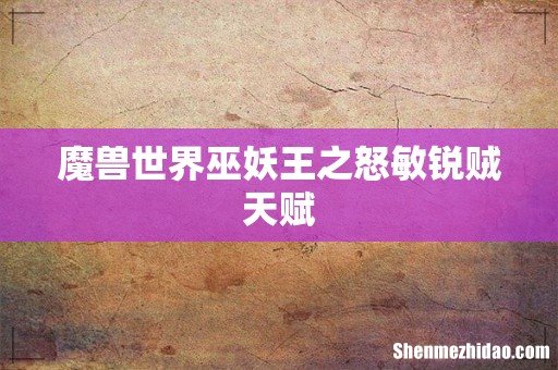 魔兽世界巫妖王之怒敏锐贼天赋