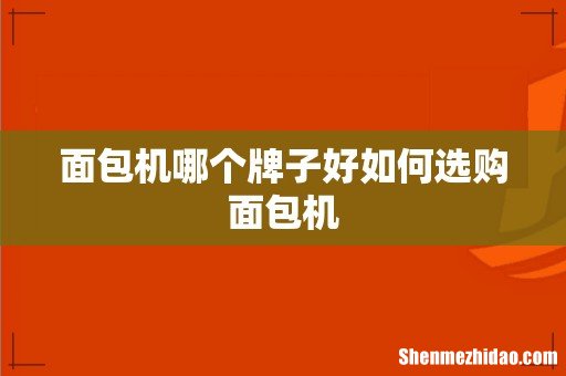 面包机哪个牌子好如何选购面包机