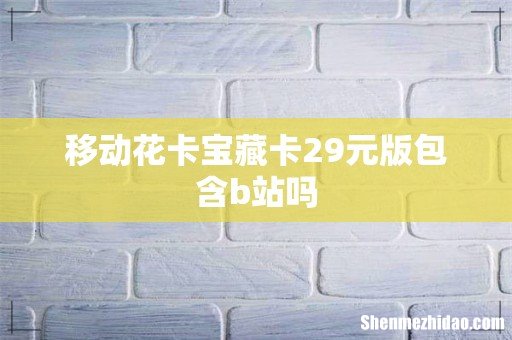 移动花卡宝藏卡29元版包含b站吗