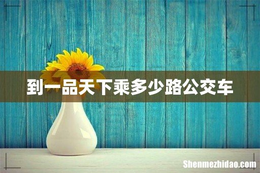到一品天下乘多少路公交车