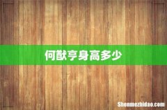 何猷亨身高多少
