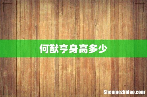 何猷亨身高多少