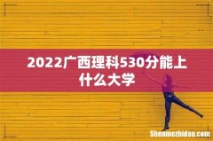 2022广西理科530分能上什么大学