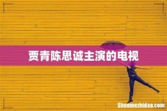 贾青陈思诚主演的电视