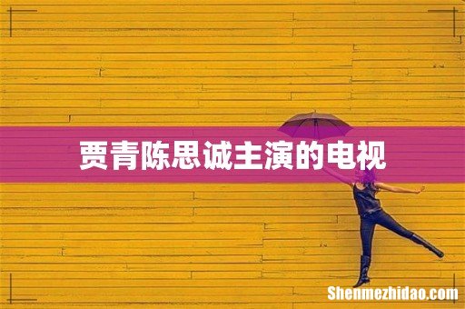 贾青陈思诚主演的电视