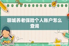 聊城养老保险个人账户怎么查询