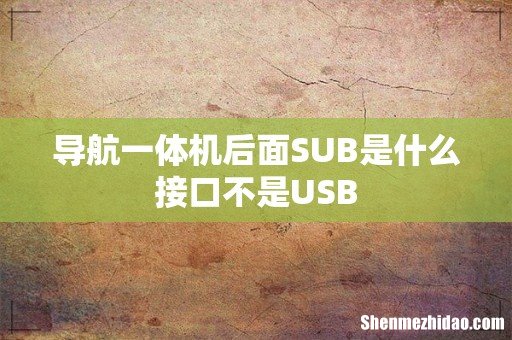 导航一体机后面SUB是什么接口不是USB
