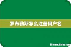 罗布勒斯怎么注册用户名
