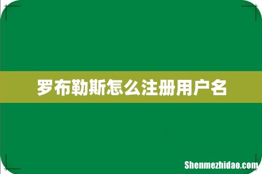 罗布勒斯怎么注册用户名