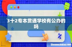 3十2专本贯通学校有公办的吗