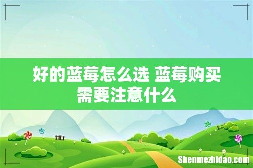 好的蓝莓怎么选 蓝莓购买需要注意什么