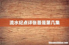 流水纪点评张蔷是第几集
