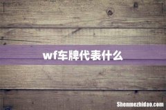 wf车牌代表什么
