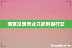 南京灵活就业只能到银行交