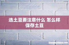 选土豆要注意什么 怎么样保存土豆