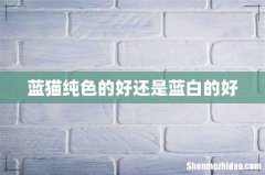 蓝猫纯色的好还是蓝白的好