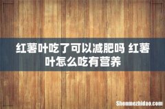 红薯叶吃了可以减肥吗 红薯叶怎么吃有营养