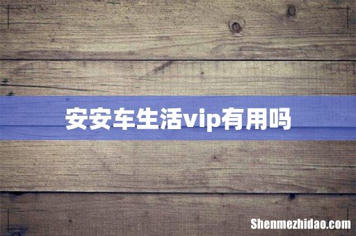 安安车生活vip有用吗