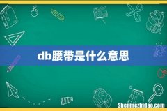 db腰带是什么意思