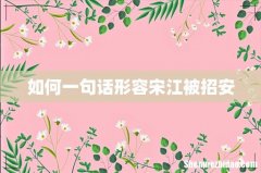 如何一句话形容宋江被招安