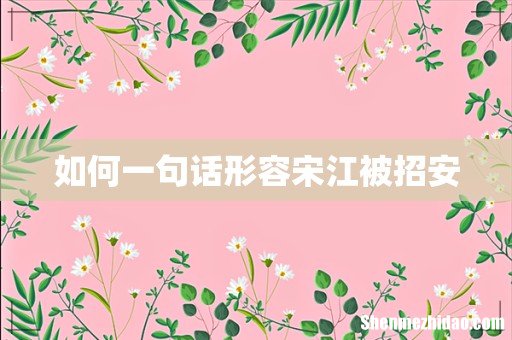 如何一句话形容宋江被招安