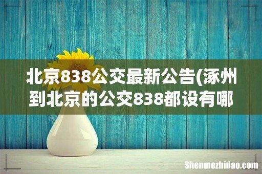 涿州到北京的公交838都设有哪些站点- 北京838公交最新公告