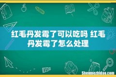 红毛丹发霉了可以吃吗 红毛丹发霉了怎么处理