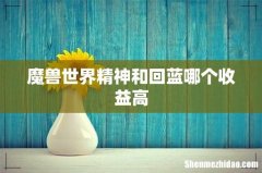 魔兽世界精神和回蓝哪个收益高