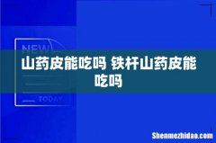 山药皮能吃吗 铁杆山药皮能吃吗