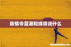 陈情令蓝湛和绵绵说什么