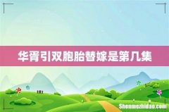 华胥引双胞胎替嫁是第几集