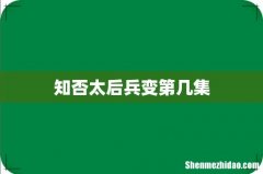 知否太后兵变第几集