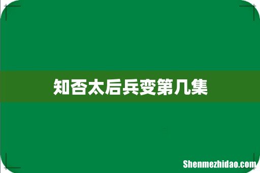 知否太后兵变第几集