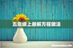 五年级上册解方程做法